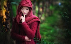 不可以吗 白智英